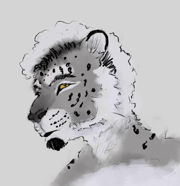 Includes Halfbody